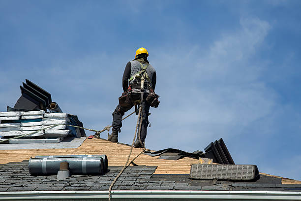 Professional Roofing technician working in Trilby, FL
